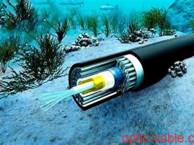 红海海底电缆故障:亚欧互联网通信遭受严重影响